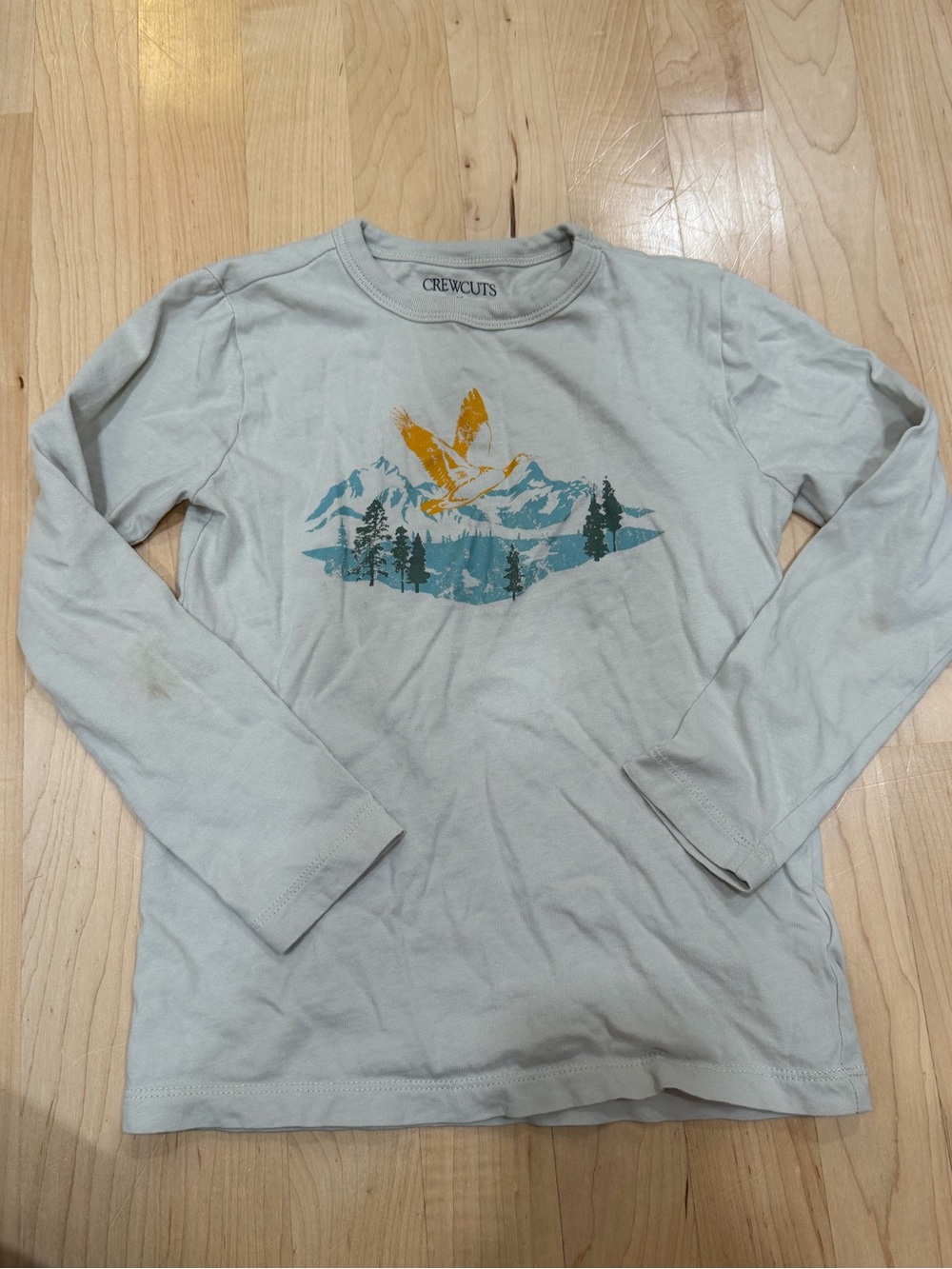 Crewcuts Cream Long-Sleeve Mountain & Eagle Graphic Tee
